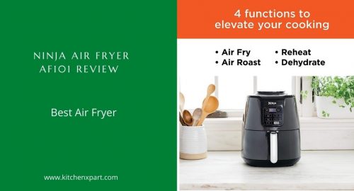 Ninja Air Fryer AF101 Review