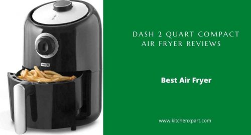 Dash 2 Quart Air Fryer Reviews