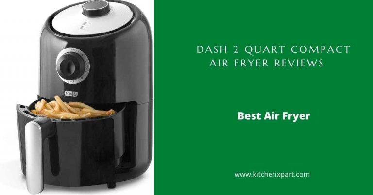 Dash 2 Quart Air Fryer Reviews