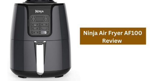Ninja Air Fryer AF100 Review