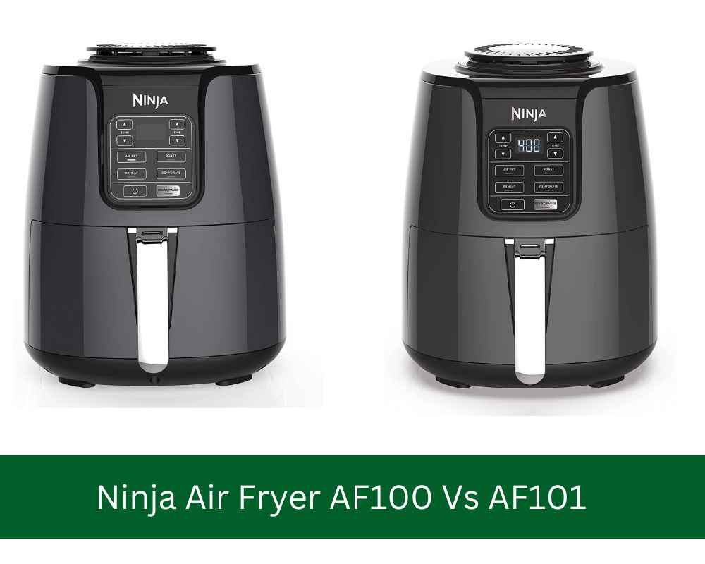 Ninja Air Fryer AF100 Vs AF101