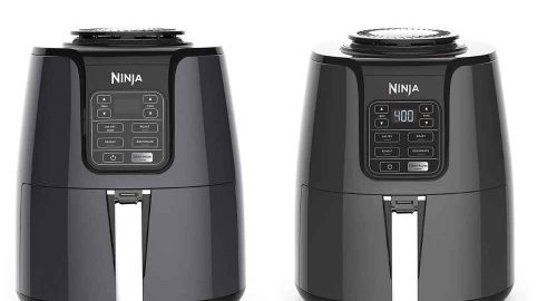 Ninja Air Fryer af100 Vs af101