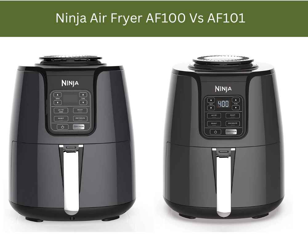 Ninja Air Fryer af100 Vs af101